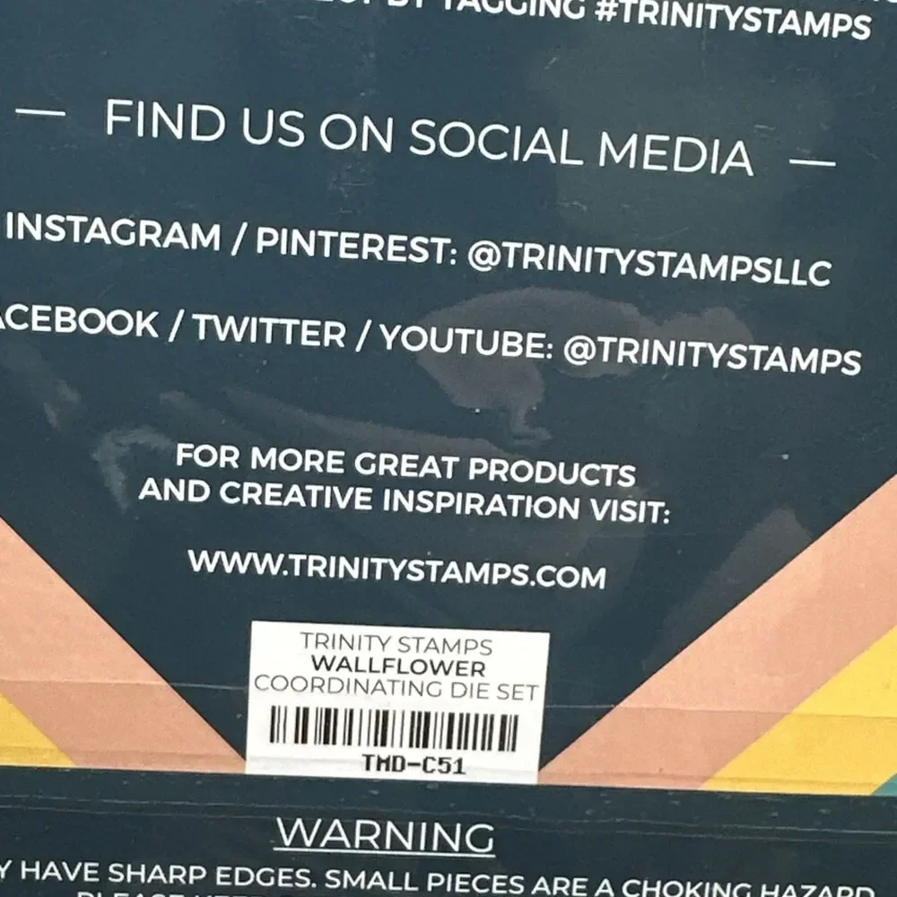 Trinity Stamps Dies Coordinates with Wallflower set